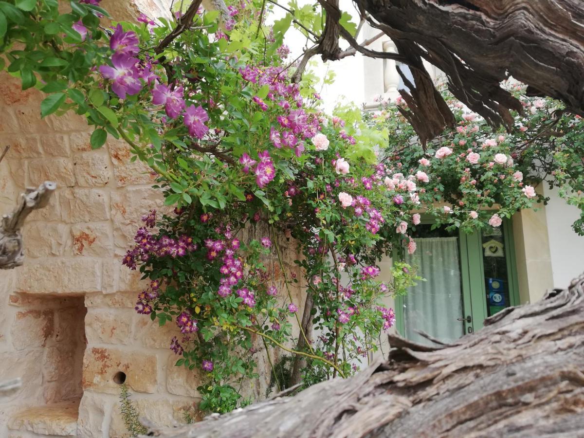 أوستوني B&B Giovannarolla Green House المظهر الخارجي الصورة
