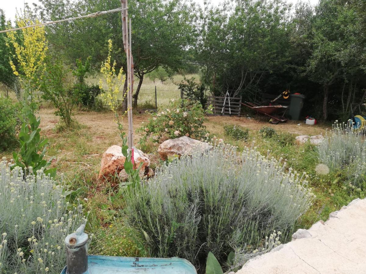 أوستوني B&B Giovannarolla Green House المظهر الخارجي الصورة