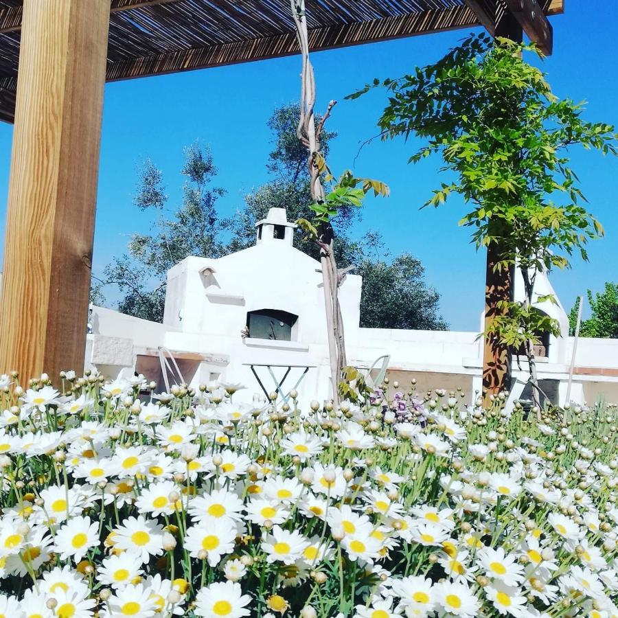 أوستوني B&B Giovannarolla Green House المظهر الخارجي الصورة