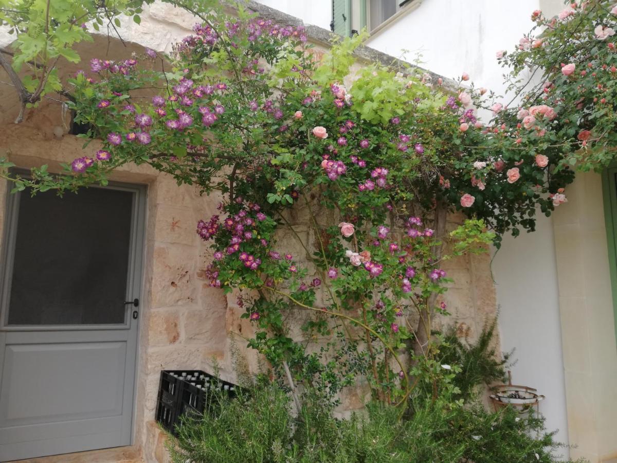 أوستوني B&B Giovannarolla Green House المظهر الخارجي الصورة