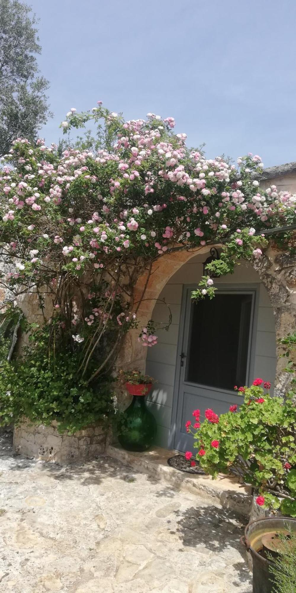 أوستوني B&B Giovannarolla Green House المظهر الخارجي الصورة