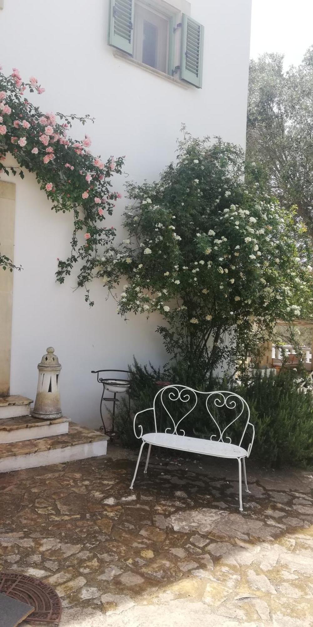 أوستوني B&B Giovannarolla Green House المظهر الخارجي الصورة
