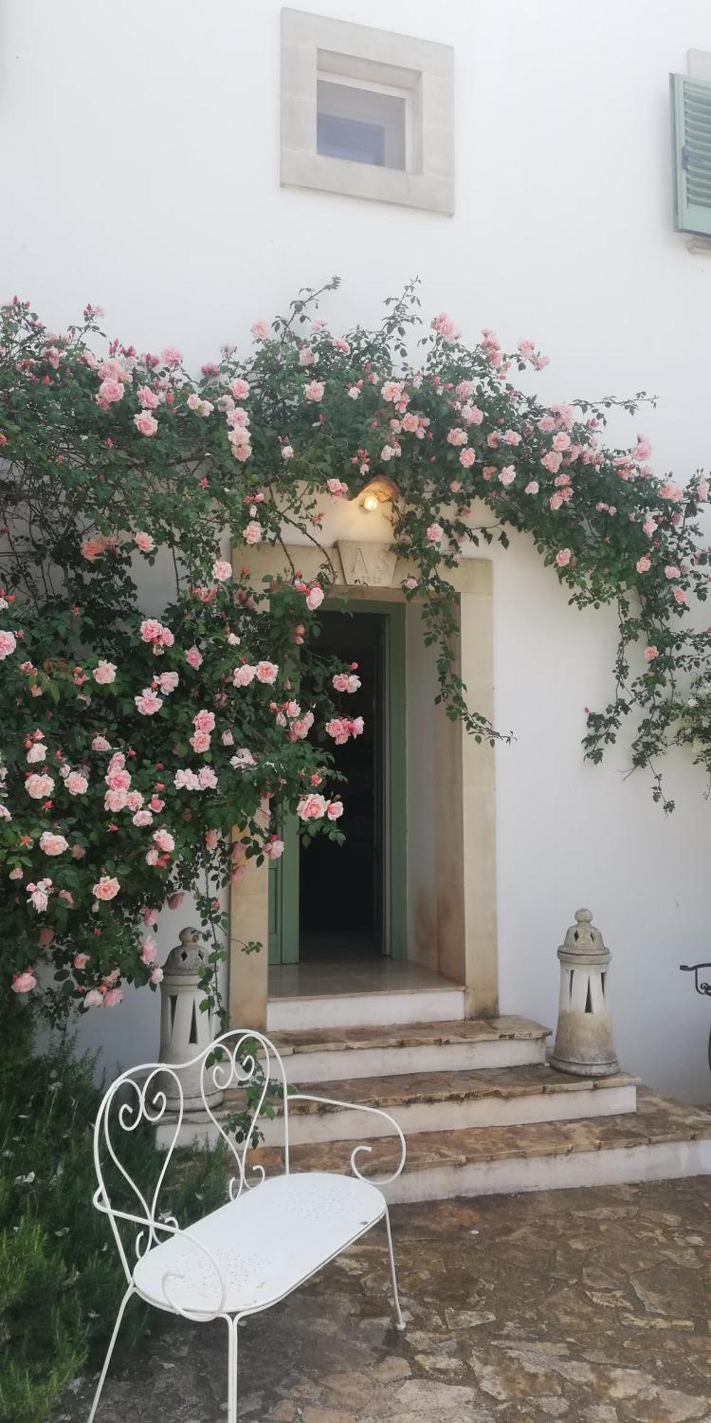 أوستوني B&B Giovannarolla Green House المظهر الخارجي الصورة